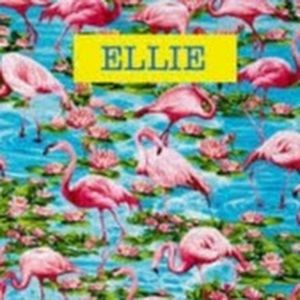 Meet your Posher, Ellie